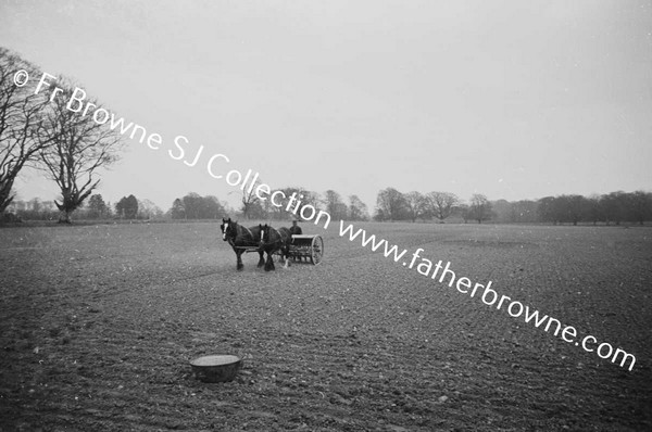 SOWING CORN